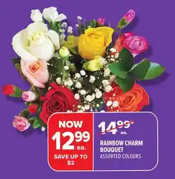 Metro RAINBOW CHARM BOUQUET offer