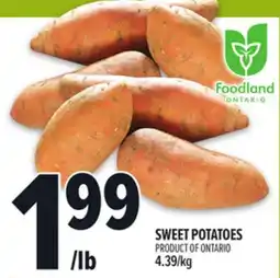 Metro SWEET POTATOES offer
