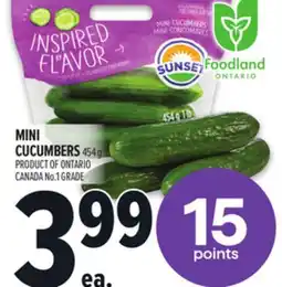 Metro MINI CUCUMBERS 454 G PRODUCT OF ONTARIO CANADA NO. 1 GRADE offer