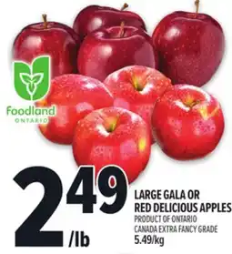 Metro LARGE GALA OR RED DELICIOUS APPLES offer