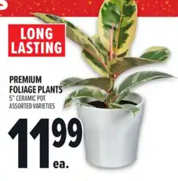Metro LONG LASTING PREMIUM FOLIAGE PLANTS offer