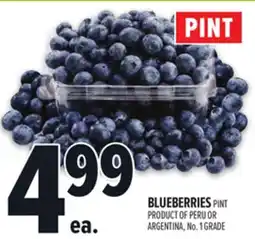 Metro BLUEBERRIES offer