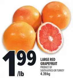 Metro LARGE RED GRAPEFRUIT offer