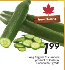Sobeys Long English Cucumbers offer