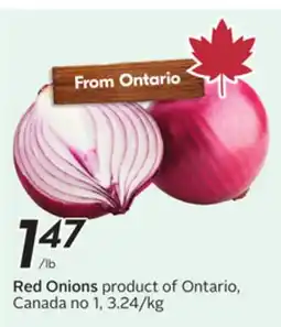Sobeys Red Onions product of Ontario, Canada no 1 offer