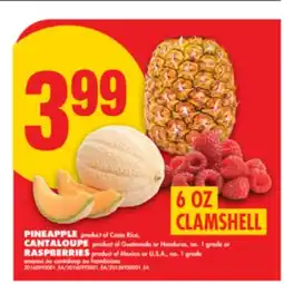 No Frills PINEAPPLE, CANTALOUPE, RASPBERRIES, 6 oz offer