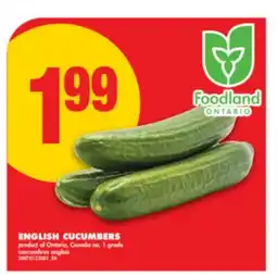 No Frills ENGLISH CUCUMBERS offer
