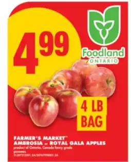 No Frills FARMER'S MARKET AMBROSIA or ROYAL GALA APPLES, 4 LB BAG offer