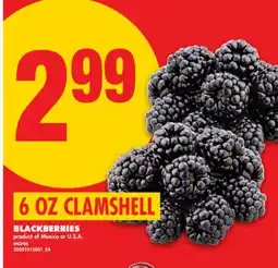 No Frills BLACKBERRIES, 6 OZ CLAMSHELL offer