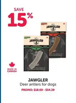 Mondou JAWGLER Deer antlers for dogs offer