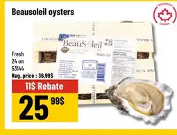 Mayrand Beausoleil Oysters x24 offer