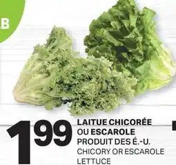 L'Intermarché LAITUE CHICORÉE OU ESCAROLE | CHICORY OR ESCAROLE LETTUCE offer