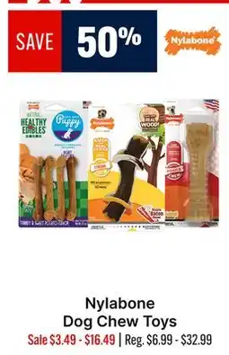 Ren’s Pets Depot Nylabone Dog Chew Toys offer