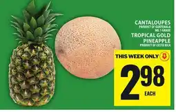 Food Basics CANTALOUPES OR TROPICAL GOLD PINEAPPLE offer