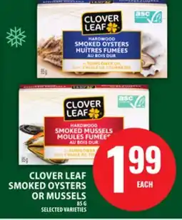 Food Basics CLOVER LEAF SMOKED OYSTERS OR MUSSELS offer