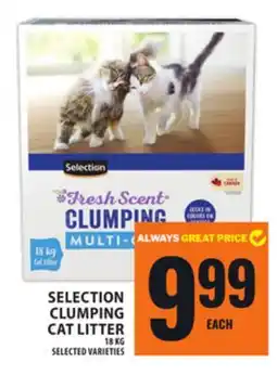 Food Basics SELECTION CLUMPING CAT LITTER offer