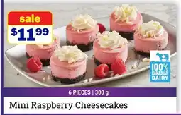 M & M Food Market Mini Raspberry Cheesecakes offer