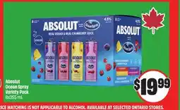 Chalo FreshCo Absolut Ocean Spray Variety Pack 8x355 mL offer
