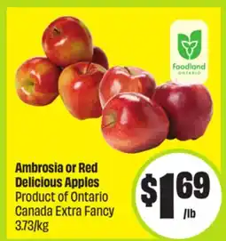 FreshCo Ambrosia or Red Delicious Apples Product of Ontario Canada Extra Fancy 3.73/kg offer