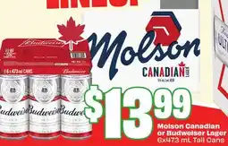 FreshCo Molson Canadian or Budweiser Lager offer