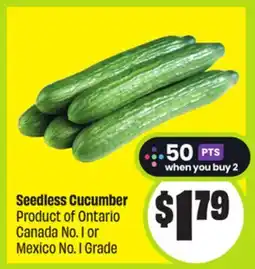 FreshCo Seedless Cucumber Product of Ontario Canada No. 1 or Mexico No. 1 Grade offer