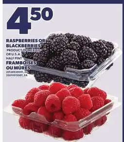 Independent City Market RASPBERRIES OR BLACKBERRIES HALF PINT offer