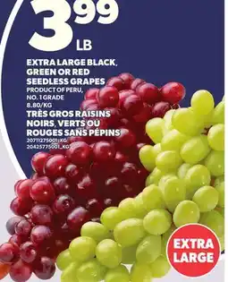 Independent City Market EXTRA LARGE BLACK, GREEN OR RED SEEDLESS GRAPES offer