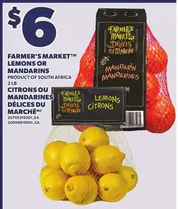 Independent City Market FARMER'S MARKET LEMONS OR MANDARINS, 2 LB offer