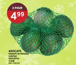 Kim Phat AVOCADOS offer