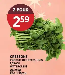 Kim Phat WATERCRESS offer