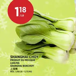 Kim Phat SHANGHAI BOKCHOY offer