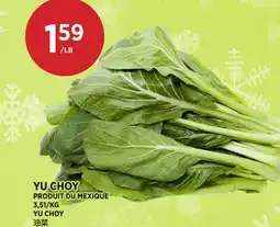 Kim Phat YU CHOY offer