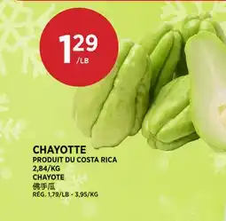 Kim Phat CHAYOTE offer