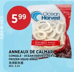 Kim Phat OCEAN HARVEST FROZEN SQUID RINGS offer