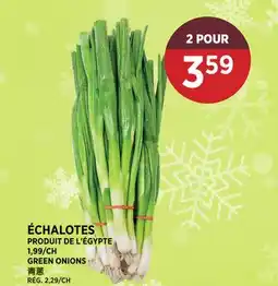 Kim Phat GREEN ONIONS offer