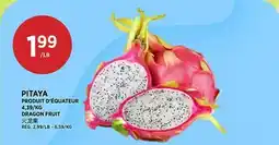 Kim Phat DRAGON FRUIT offer