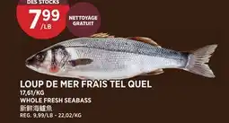 Kim Phat WHOLE FRESH SEABASS offer