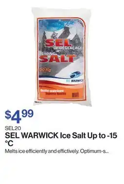 Patrick Morin Ice Salt Up to -15 °C offer