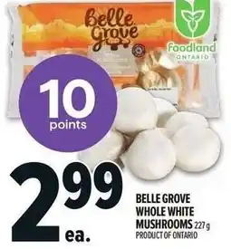 Metro Belle grove whole white mushrooms offer