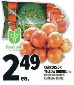 Metro Carrots or yellow onions offer