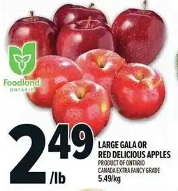 Metro Large gala or red delicious apples offer