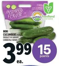 Metro Mini cucumbers offer