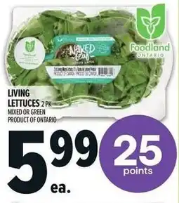 Metro Living lettuces offer
