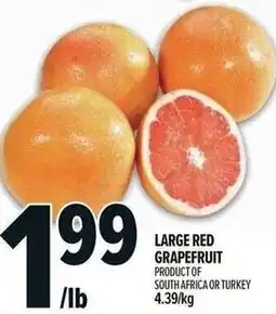 Metro Large red grapefruit offer