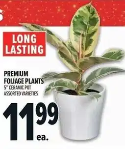 Metro Premium foliage plants offer