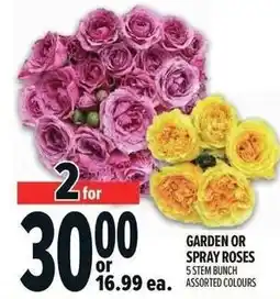 Metro Garden or spray roses offer
