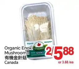 T&T Supermarket ORGANIC ENOKI MUSHROOM offer