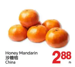 T&T Supermarket HONEY MANDARIN offer