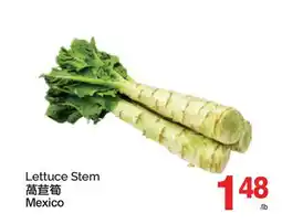 T&T Supermarket LETTUCE STEM offer