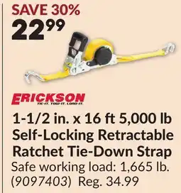 Princess Auto 1-1/2 in. x 16 ft5,000 lb Self-Locking Retractable Ratchet Tie-Down Strap offer